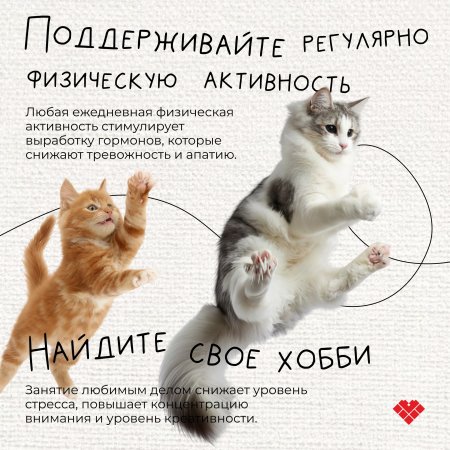 Неделя продвижения здорового образа жизни.